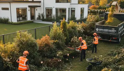 Professional shrub removal service in Phoenix, AZ by Chop Chop Tree experts