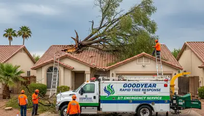 Emergency tree removal crew clearing storm-damaged trees in Goodyear, AZ near Phoenix homes